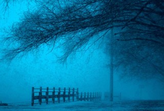 A foggy night 