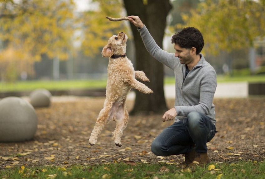 Dov-Snickers-jumping-850x575