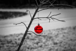 Red Christmas bauble is bright against a black and white leafless Christmas tree