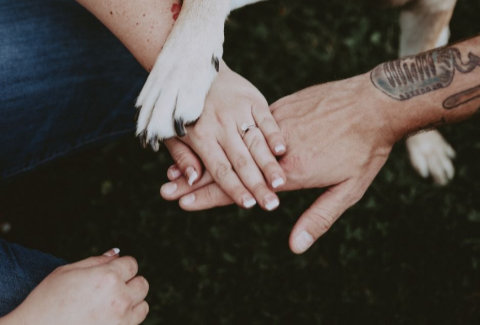 Two people and a dog holding hands and paws