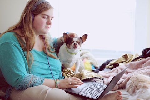 Person wearing headphones pats dog while looking at their laptop