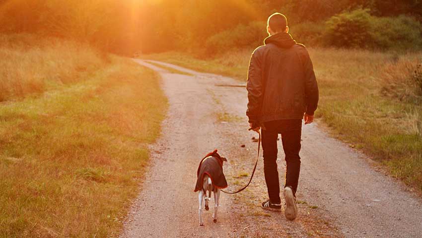 A man and his dog walk along a road at sunset 