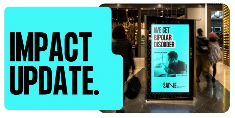 SANE&#039;s 2022 Impact Update Wrap Up